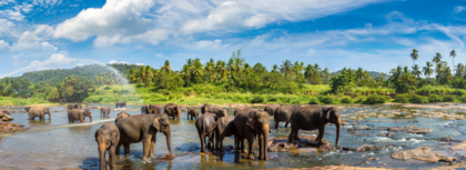 Sri Lanka: The Pearl of the Indian Ocean