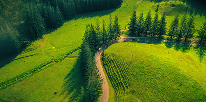 Norfolk Island Scenic Rd