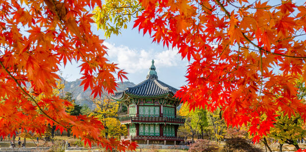  Gyeongbokgung Palace, Seoul