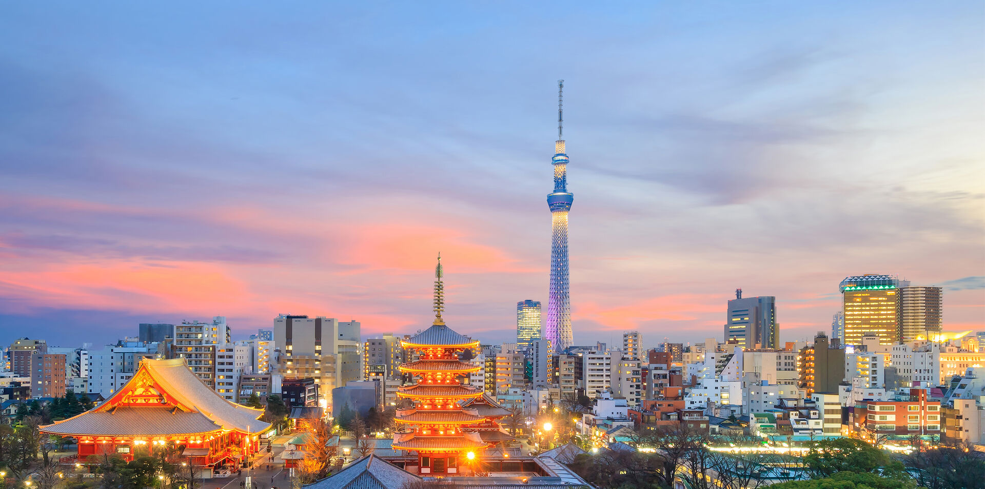 Japan Discovery Escorted Tour